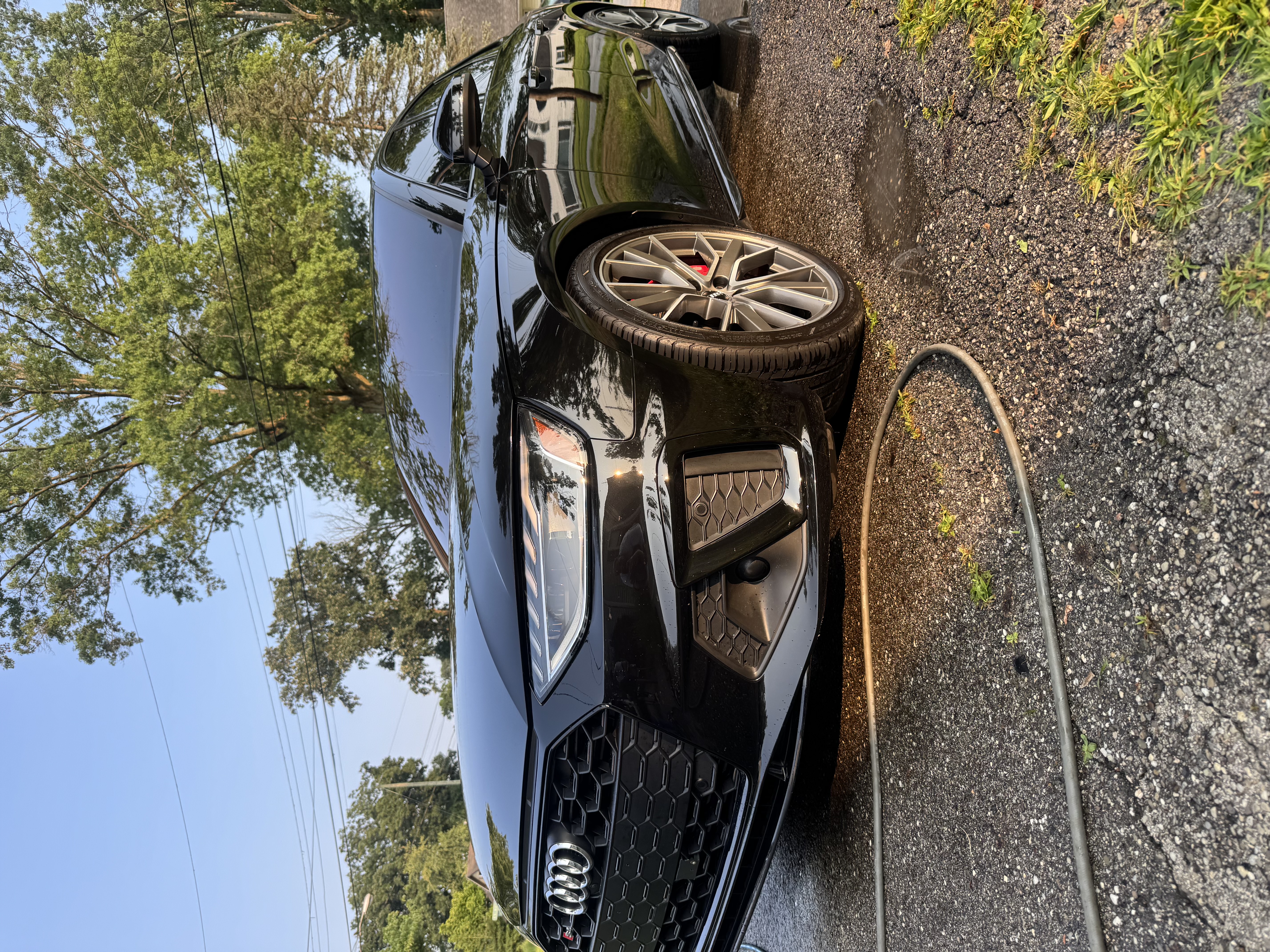 Featured detailing result 1
